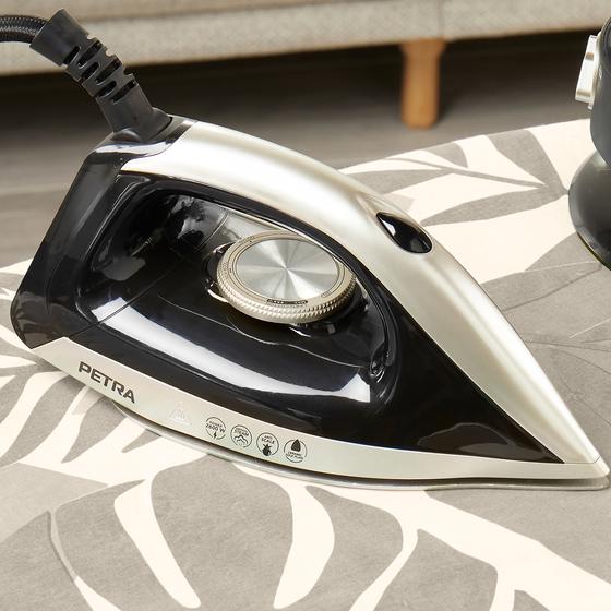Petra steam iron - iron in the living room