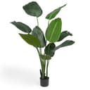 Plante artificielle - strelitzia
