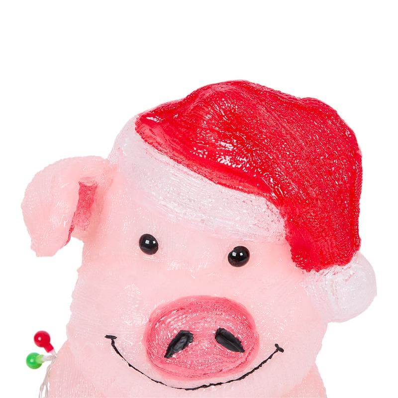 Cochon en acrylique avec LED