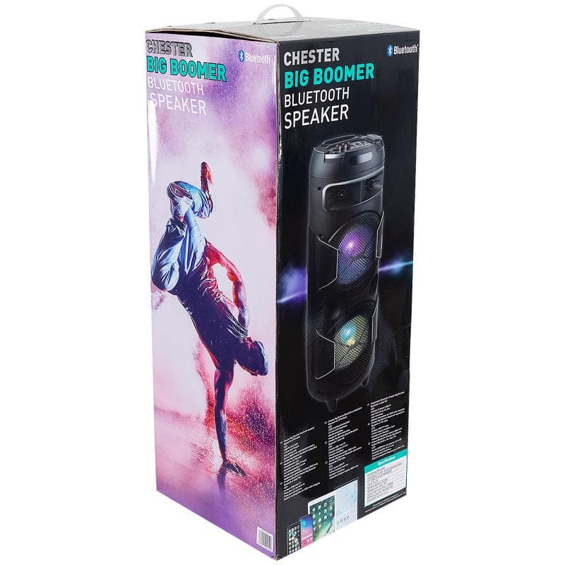 Party speaker Big Boomer