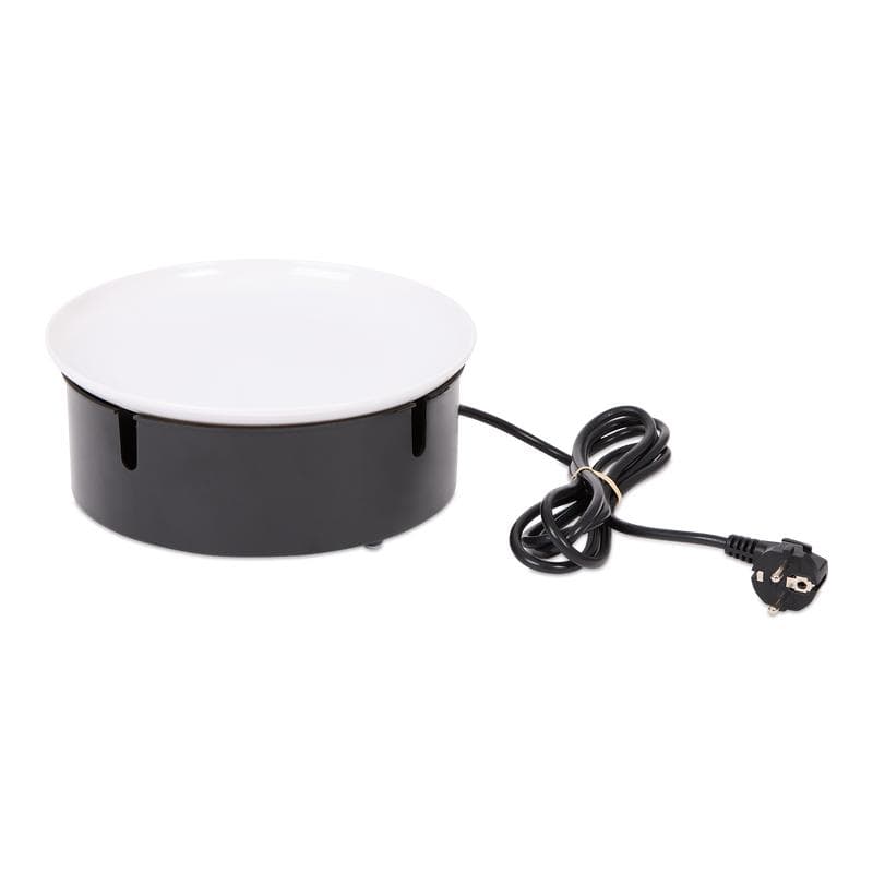 Plancha électrique individuelle 4 personnes