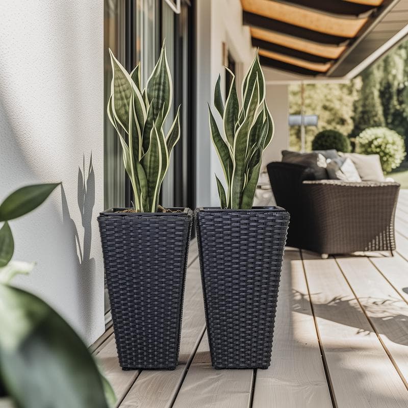 Lot de deux pots - noir