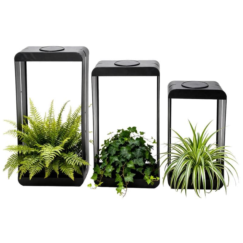 Support mural pour plantes avec lampe solaire