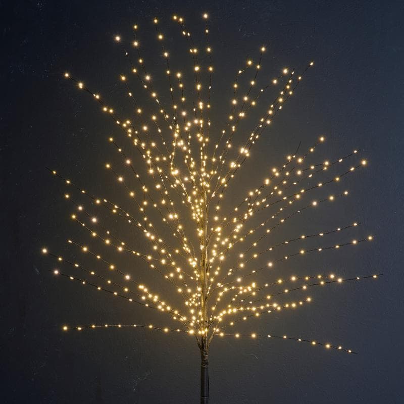 Lichtboom