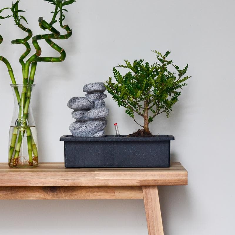 Bonsaiboompje met waterval