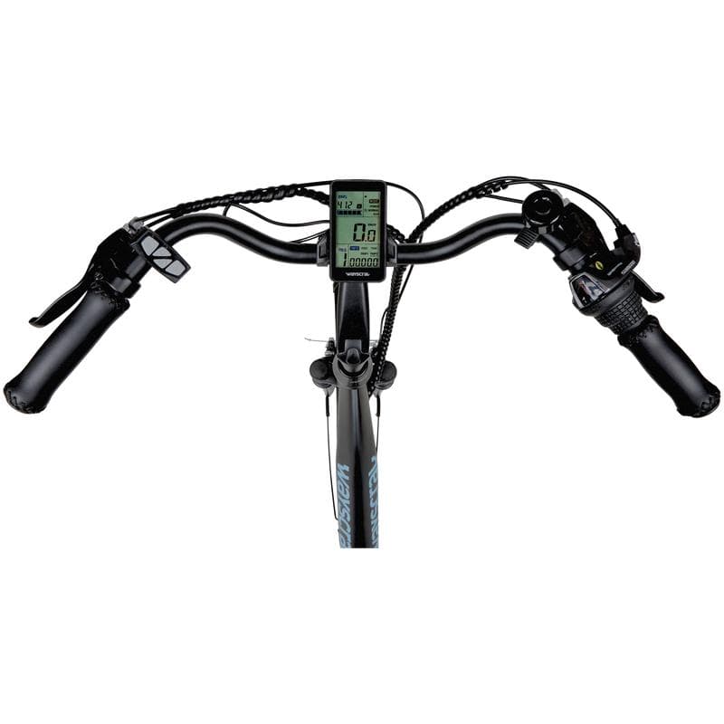 Elektrische fiets - zwart