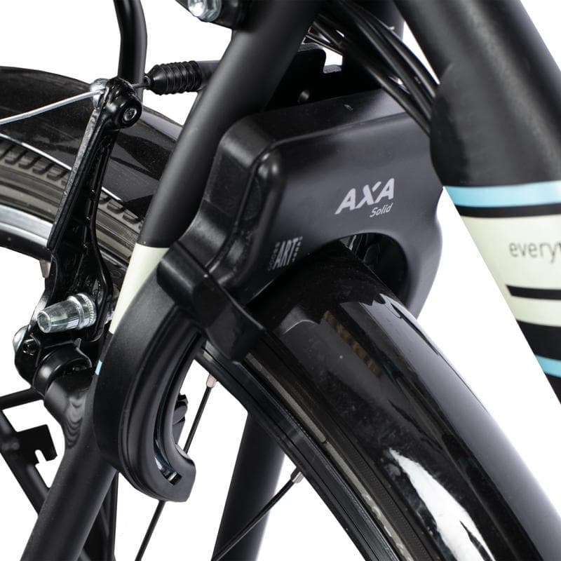 Elektrische fiets - zwart