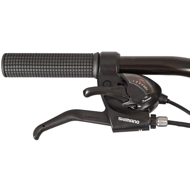 Mountainbike - matzwart