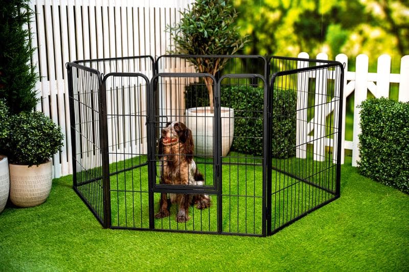 XL speelhok voor hond, kat en konijn