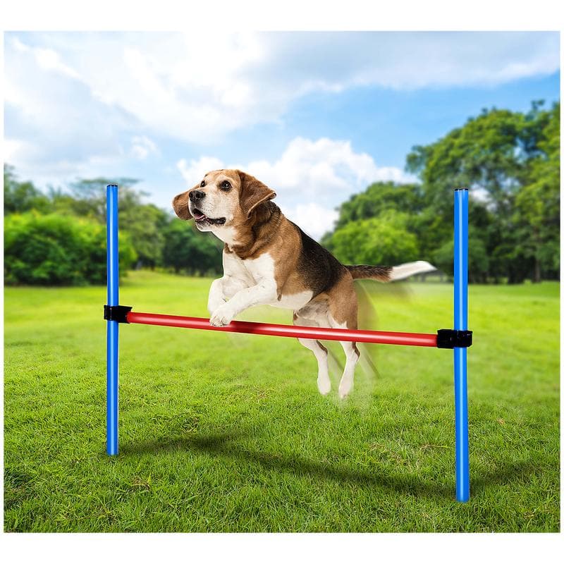 Agility trainingsset voor honden