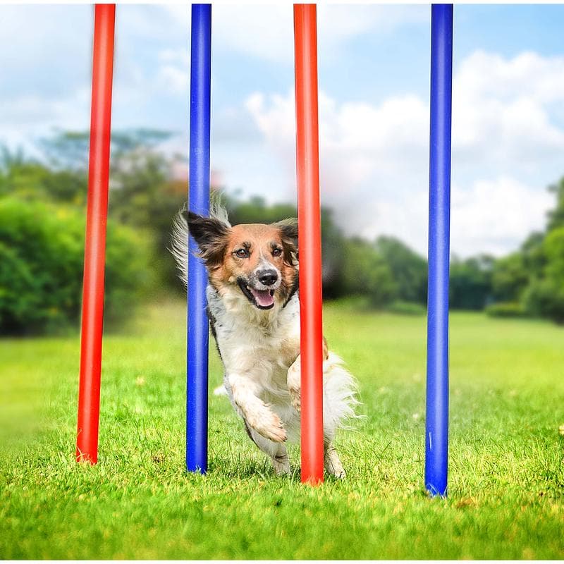 Agility trainingsset voor honden