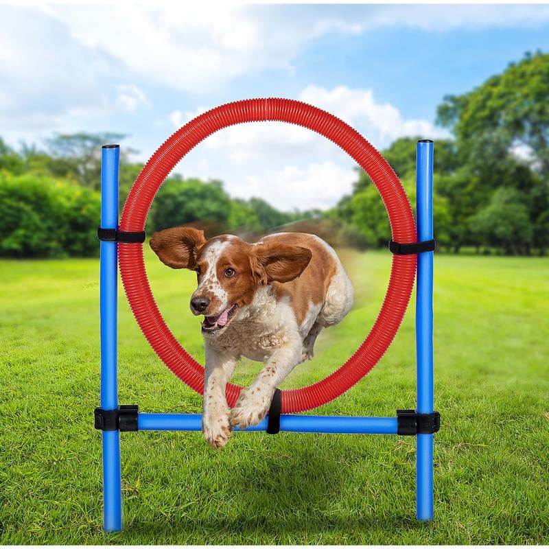 Agility trainingsset voor honden