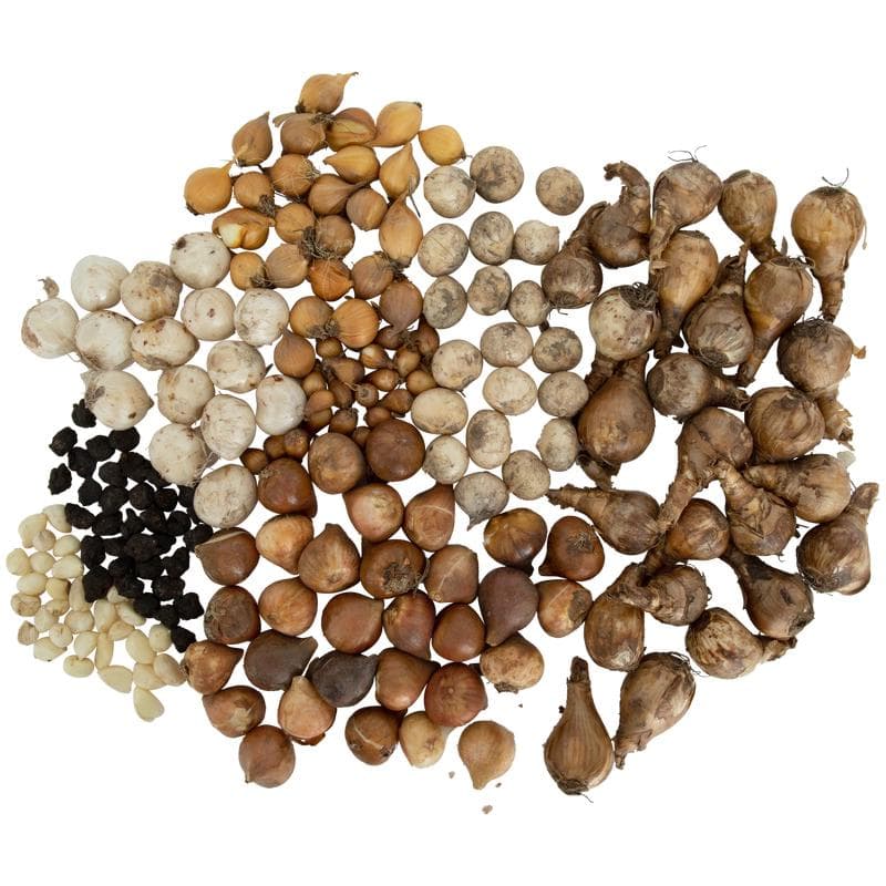 Bloembollenmix