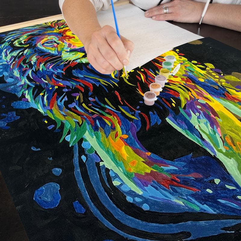 Crafts & Co schilderen op nummer - set van 2