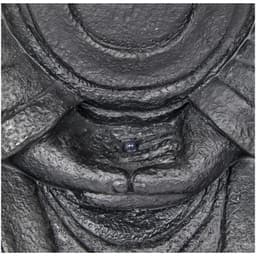 Navigate to image