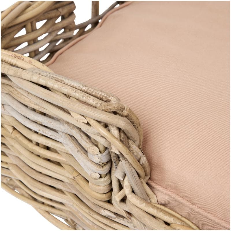 Panier pour chien avec coussin