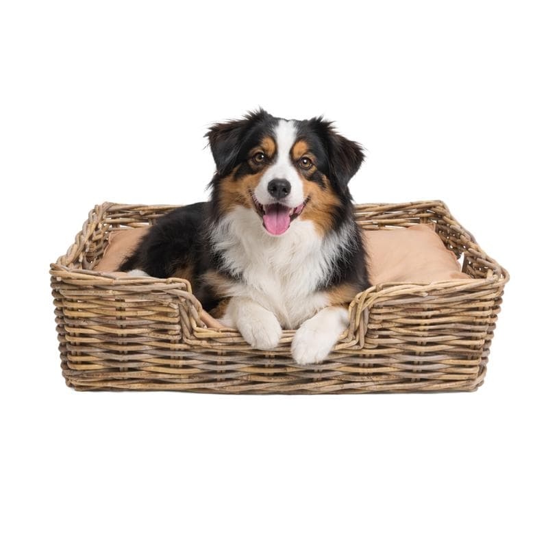Panier pour chien avec coussin