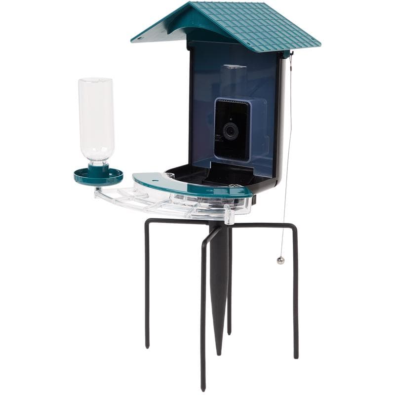 Slimme vogelcamera met wifi