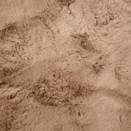 Navigate to image