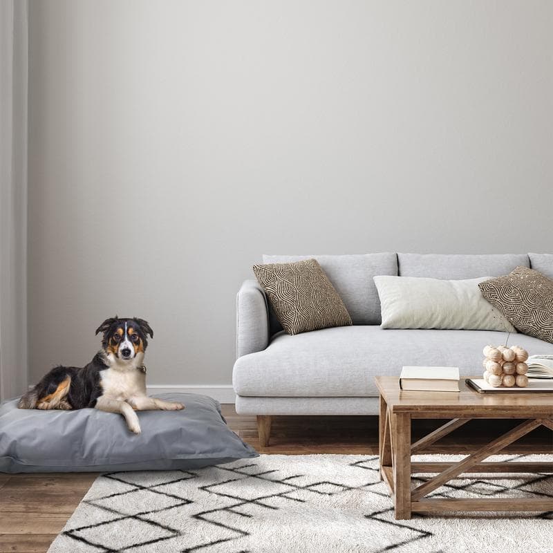 Coussin pour chien XL