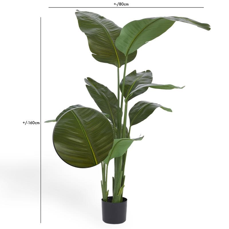 Strelitzia - kunstplant