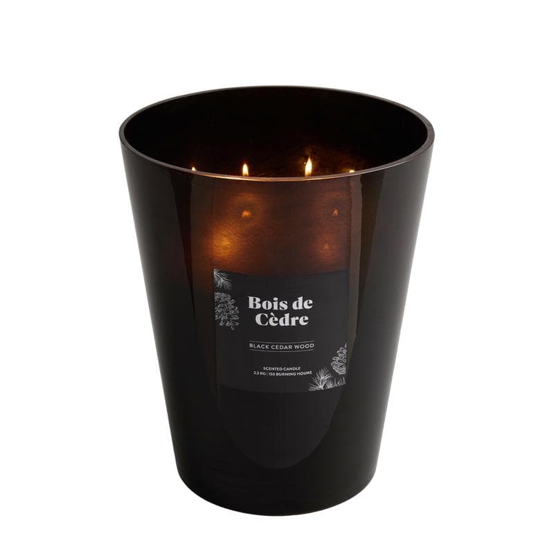 Bougie parfumée XL premium - bois de cèdre