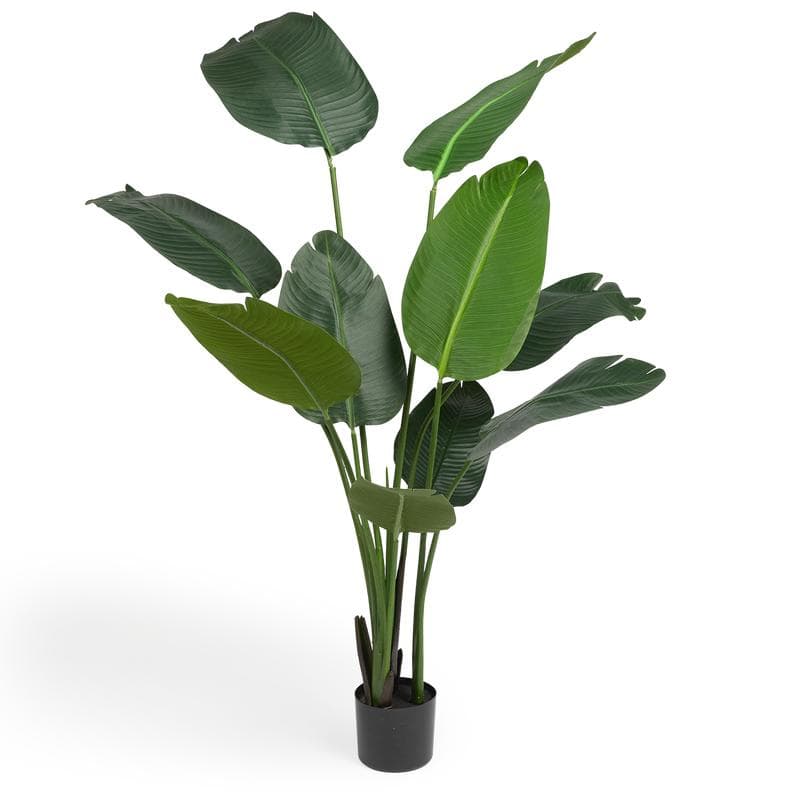 Plante artificielle - strelitzia