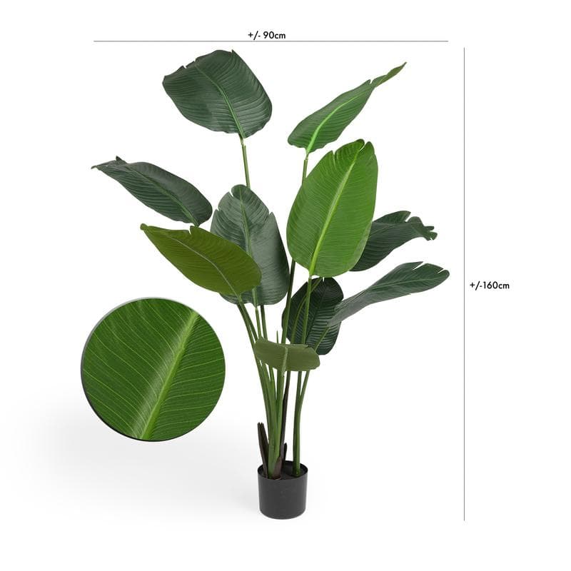 Plante artificielle - strelitzia