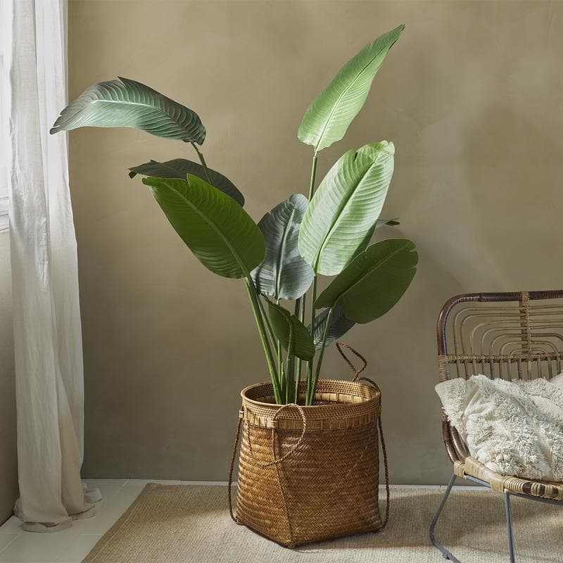 Kunstplant Strelitzia