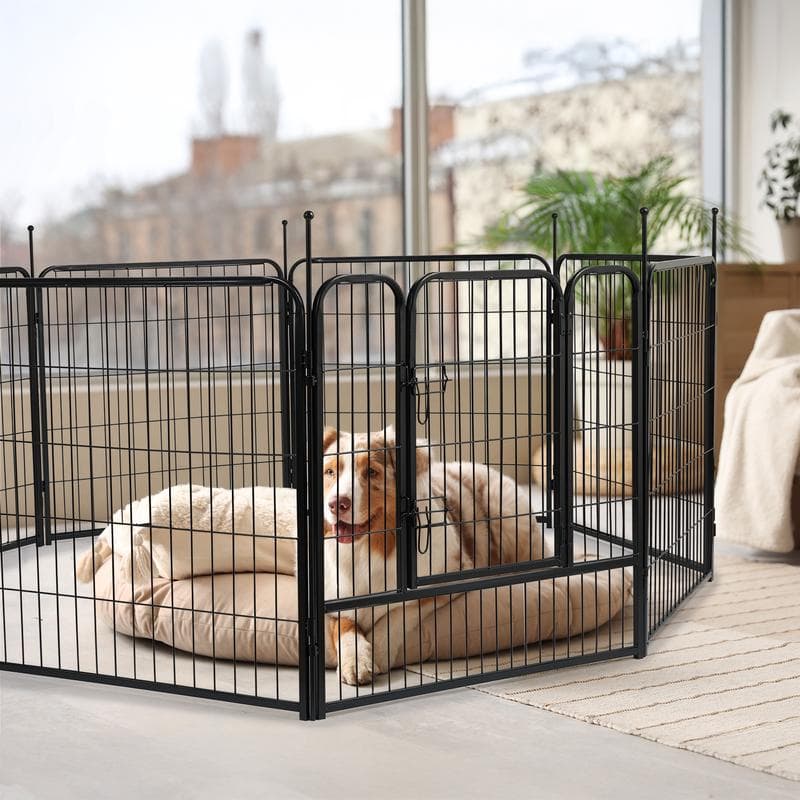 XL speelhok voor hond, kat en konijn