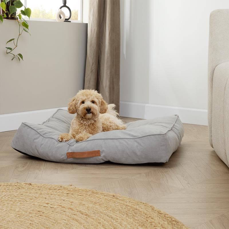 Coussin pour chien