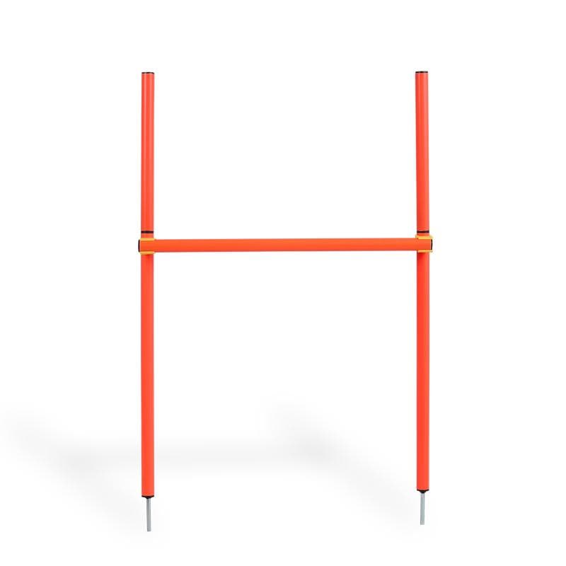 Équipements d'agility pour chien