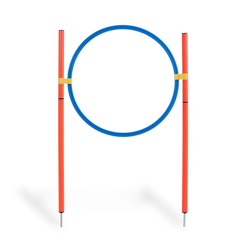 Équipements d'agility pour chien