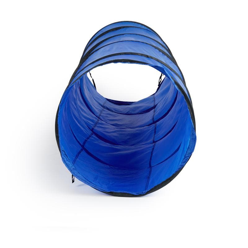 Équipements d'agility pour chien