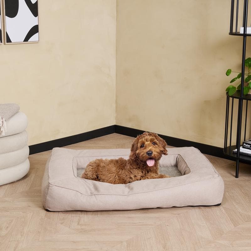 Coussin pour chien à mémoire de forme