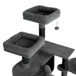 Navigate to image