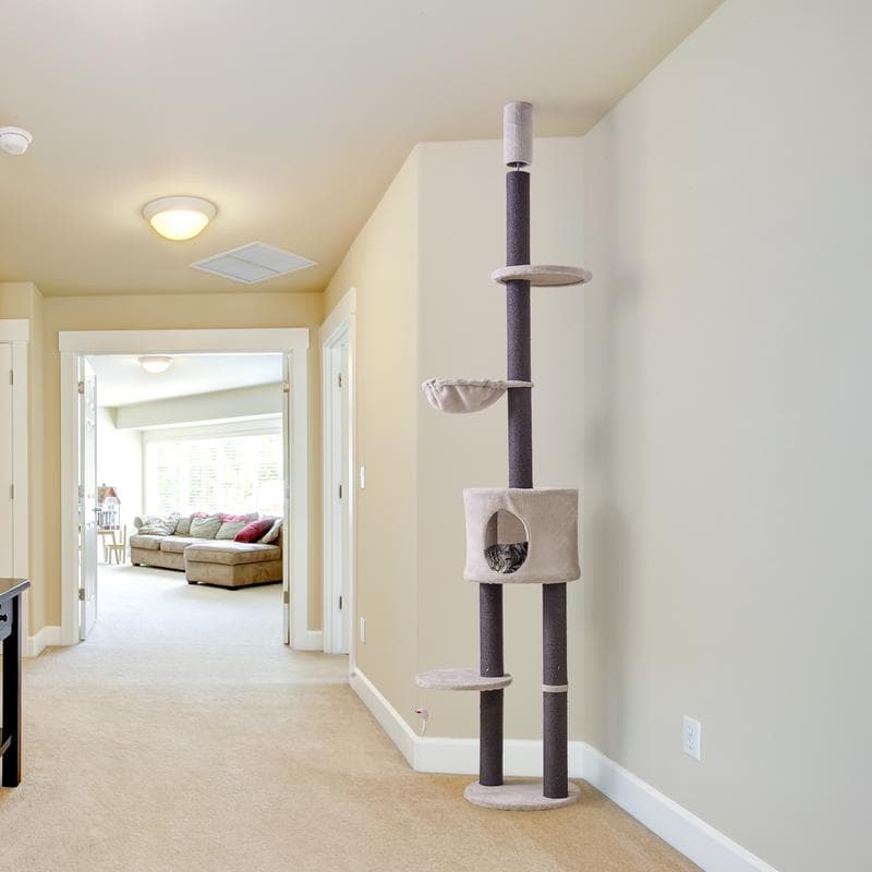 Krabpaal - in hoogte verstelbaar