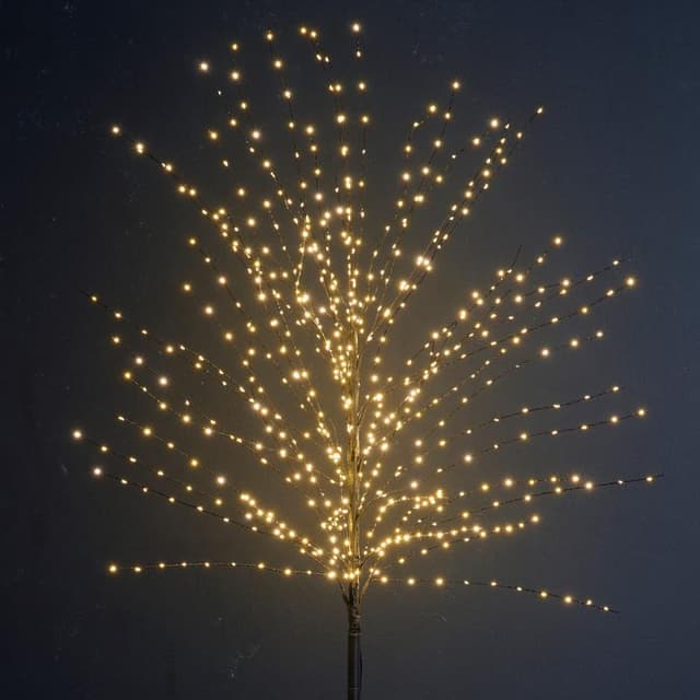 Vind lichtboom op - april 2026 Vind lichtboom op - april 2026