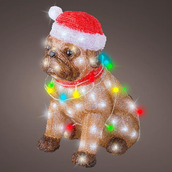 Acrylic dog with lights on dark background