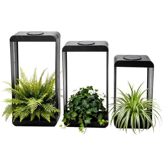 Wall planter set with solar lighting and plants