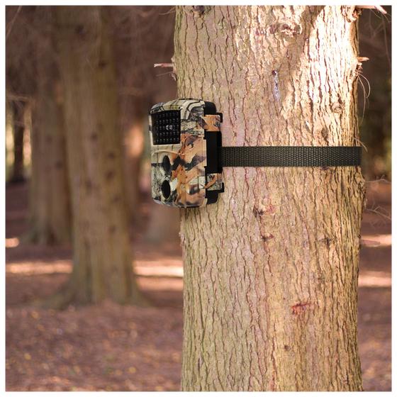 Wildcamera - HD an en boom vastgemaakt