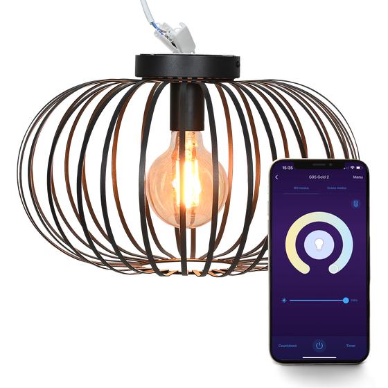 LSC Smart Connect ceiling light with the free app