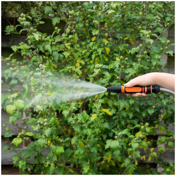 Spray the plants with the garden hose