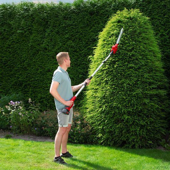 pruning a tall bush with the hedge trimmer