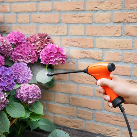 Pulvérisateur à pression en cours d'utilisation pour arroser des plantes