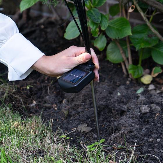 Éclairage extérieur planté