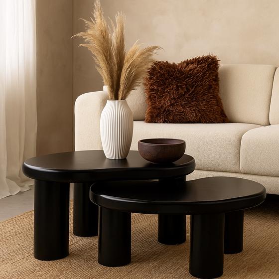 Organic-shaped black coffee table set in living room
