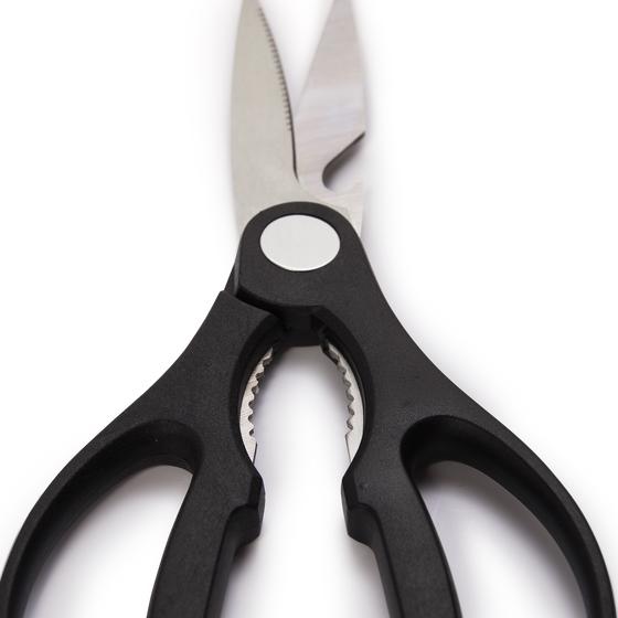 Magnani scissors 1