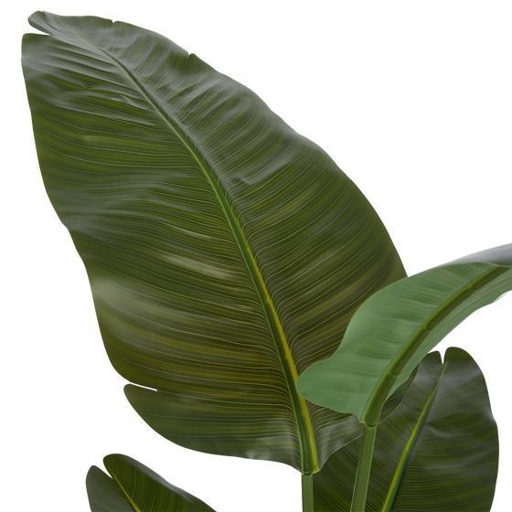 Strelitzia artificial plant leaves zoomed in