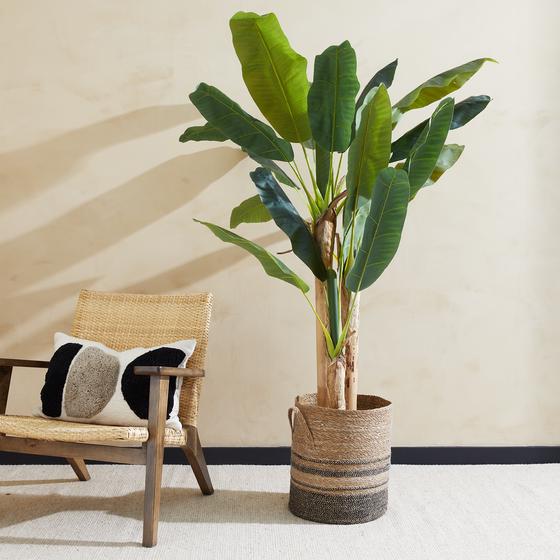 Banana artificial plant mood impression